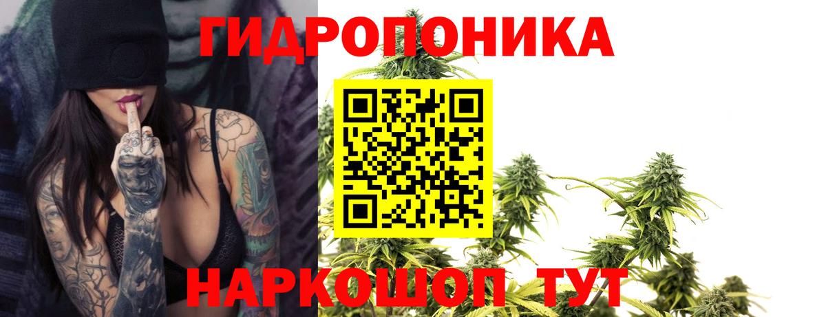 Канабис AK-47 Углич